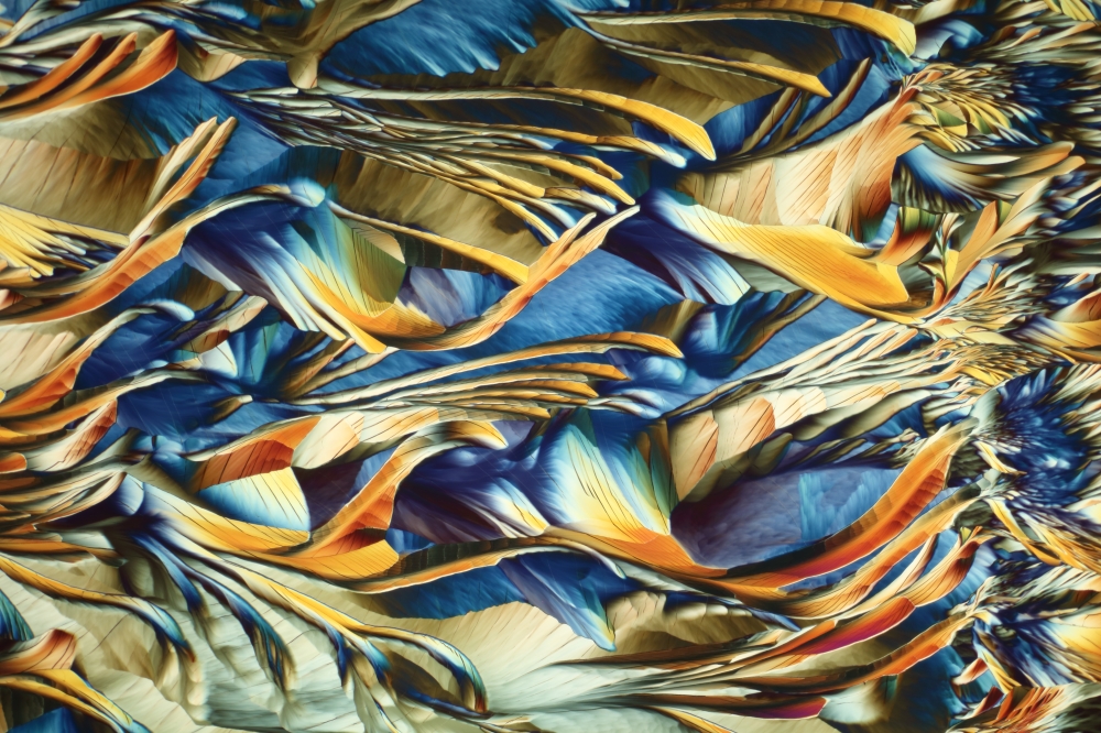 Building Blocks of Life