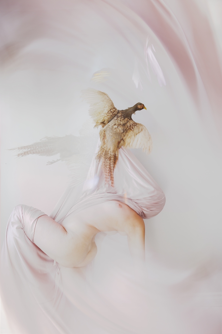 S�RIE DES CORPS �TRANGERS R�ANIM�S