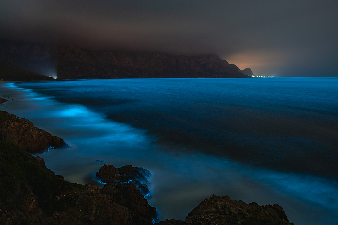 Bioluminescent Seascape