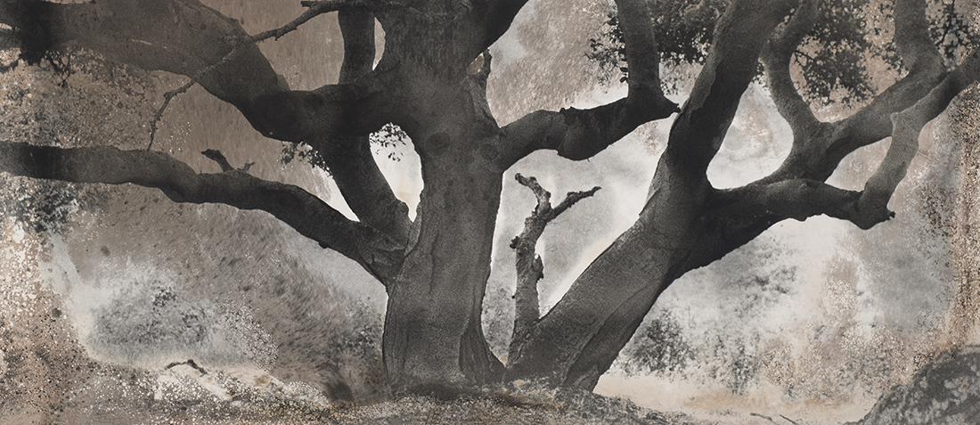 Intimate Conversation