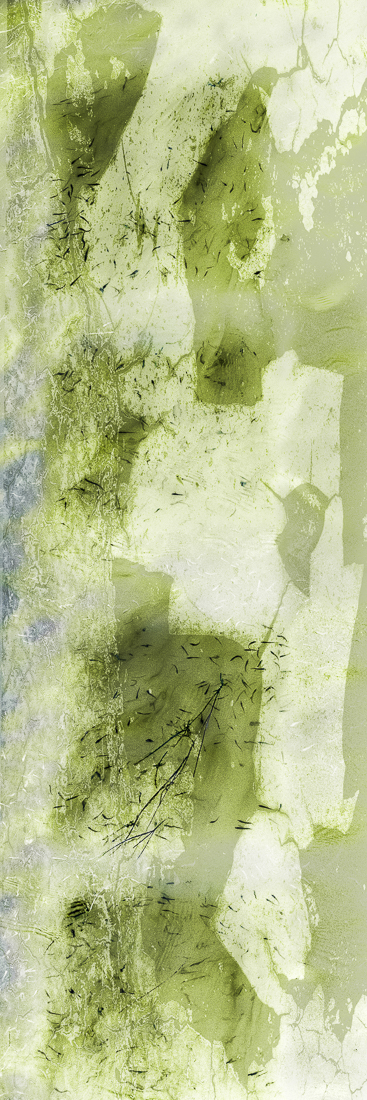 dance the shores of jordan