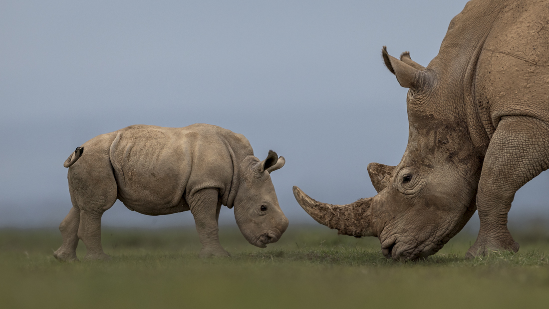 Shape of Things to Come