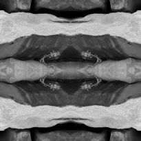 invitation to consider