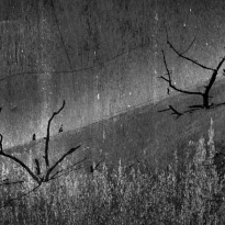 GRANDE DUNE DU PILAT