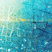 Evocation of snow, water and ice