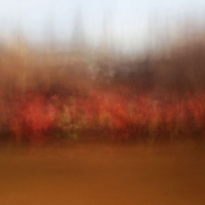 Overseas School Children