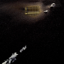 Surface and Consciousness