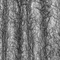 Revelation Of Nature