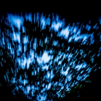 Car, Night and Speed