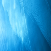 Glimpse of an Angel's Wings