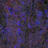 Untitled, Southern Asheville, 11-12-2015FE