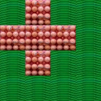 Contemplating the Grid: A Study in Dimensional Anomalies