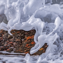 Natural Foam Sculptures