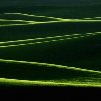 Fifty Shades of Green