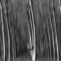 In the woods like a fairy tale