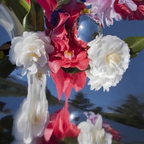 Kaleidoscopic Still Life