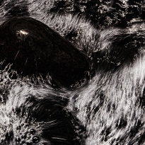 Heart beats of the light