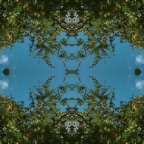 The Land of the forgotten Gods