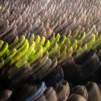 It's a Psychedelic World 