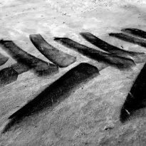 Traces (tire prints)