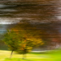 memory of the landscape