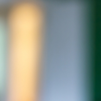 Budapest, Air b'nb, Walls and Windows.