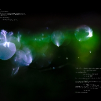 Black hole, dark matter, and ...