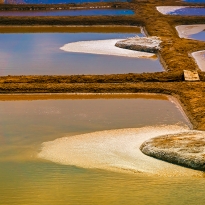 Les Salines de Gr�rande