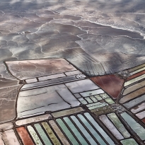 Salt ponds