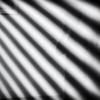 I think, therefore I am