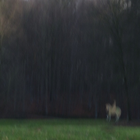 The Marquis of Arconati Visconti / De markies van Arconati Visconti