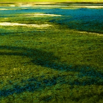 Black lake Montenegro