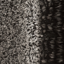 Something that not many have seen?