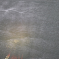 Morning take wing, evening unfold