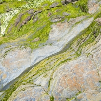 When you step into the land of colours