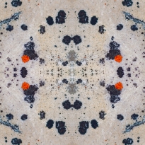 Tarkine Abstractions