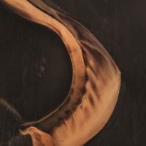 poetry of silence XI