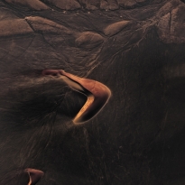 poetry of silence XII