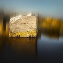 Transfiguration In Landscape #1