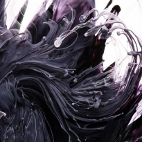 The Matter of the Mind