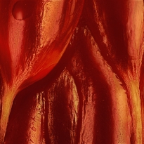 Citruses in Disguise