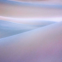 Elegant Lines and Curves