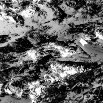 Winter's Ink Wash Painting