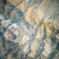 The Shape of the Land 