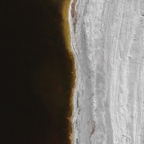 Painting Inspired Photographs