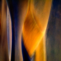 Knight with the Lance