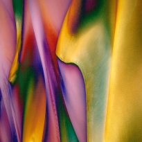 Midsummer Night Dream