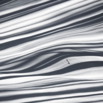 Excuse me, where am I ?