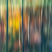 Mirroring the seasons