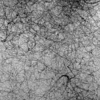 Jackson Pollock  - Recreation